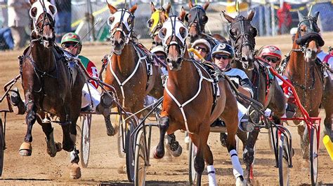 mohawk harness racing results
